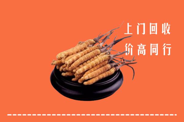 高价求购：宣城市旌德县回收散虫草