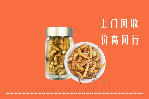 宣城市旌德县回收冬虫夏草